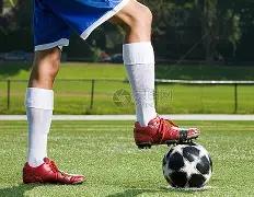 年选秀第,顺位,小鲨鱼,开云体育,开云体育app,开云体育官网,开云体育下载,开云体育入口